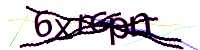 CAPTCHA Image