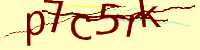 CAPTCHA Image