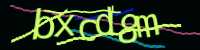 CAPTCHA Image