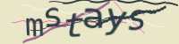 CAPTCHA Image