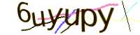 CAPTCHA Image