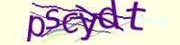 CAPTCHA Image