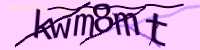 CAPTCHA Image