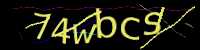 CAPTCHA Image