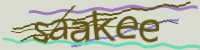 CAPTCHA Image