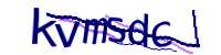 CAPTCHA Image