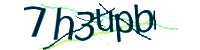 CAPTCHA Image