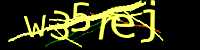 CAPTCHA Image