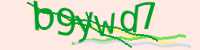 CAPTCHA Image