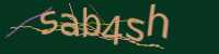 CAPTCHA Image
