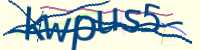 CAPTCHA Image
