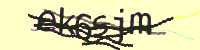 CAPTCHA Image