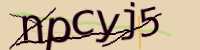 CAPTCHA Image