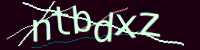 CAPTCHA Image