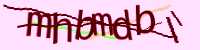 CAPTCHA Image