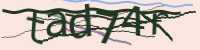 CAPTCHA Image