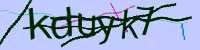 CAPTCHA Image