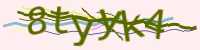 CAPTCHA Image