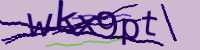 CAPTCHA Image