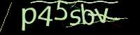 CAPTCHA Image