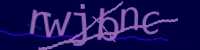 CAPTCHA Image
