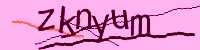 CAPTCHA Image