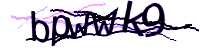 CAPTCHA Image