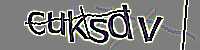 CAPTCHA Image