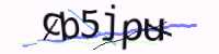 CAPTCHA Image