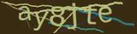 CAPTCHA Image