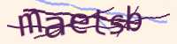 CAPTCHA Image