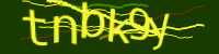 CAPTCHA Image