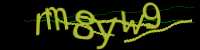 CAPTCHA Image