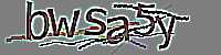 CAPTCHA Image