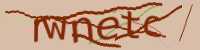 CAPTCHA Image