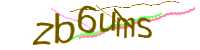 CAPTCHA Image