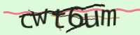 CAPTCHA Image