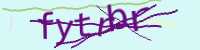 CAPTCHA Image