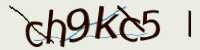 CAPTCHA Image