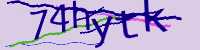 CAPTCHA Image