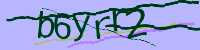 CAPTCHA Image