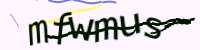 CAPTCHA Image