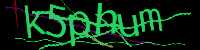 CAPTCHA Image