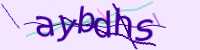 CAPTCHA Image