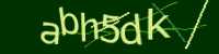 CAPTCHA Image