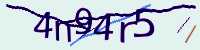 CAPTCHA Image