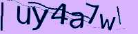 CAPTCHA Image