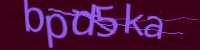 CAPTCHA Image