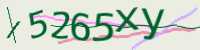CAPTCHA Image