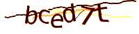 CAPTCHA Image